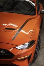 Ford Mustang EcoBoost High Performance Package 2019 года (NA)